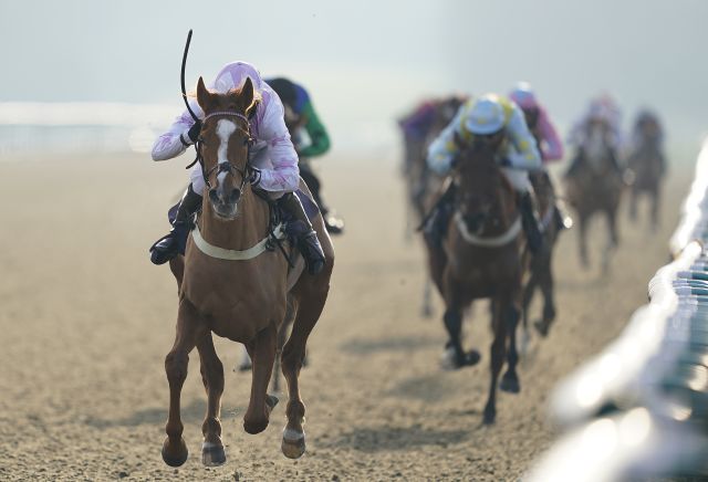 Saturday's Horse Racing Market Movers