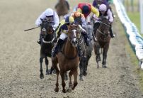 Friday's Horse Racing Market Movers