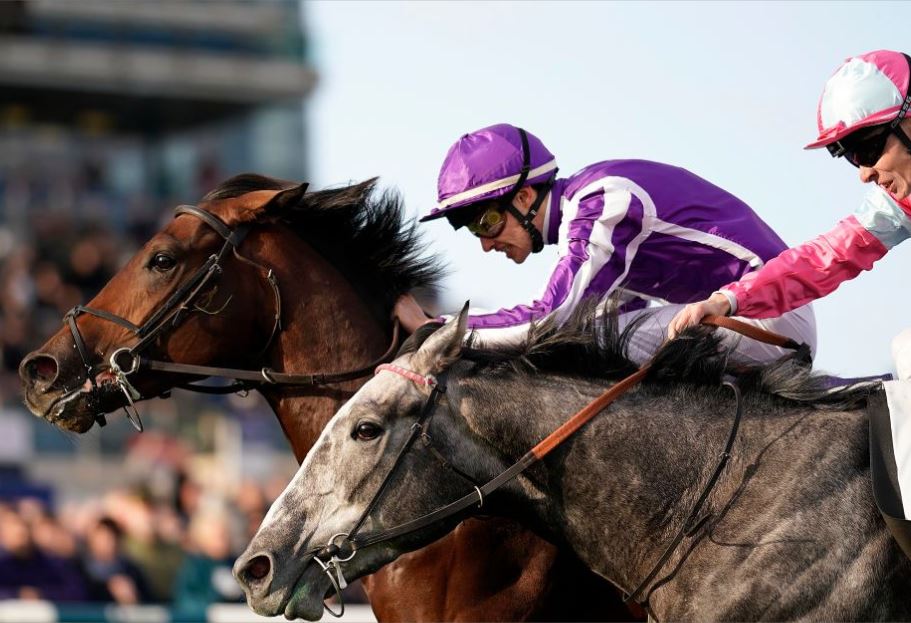 Magna Grecia becomes FAVOURITE for The Derby after 2000 Guineas win