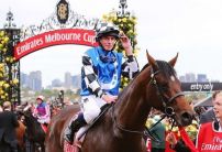 Oddschecker guide to the Melbourne Cup
