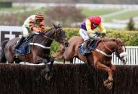 The five most backed National Hunt horses of 2018