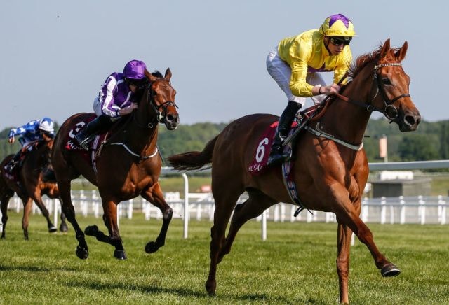 Sea Of Class' impressive victory sees her odds drastically cut for the Oaks