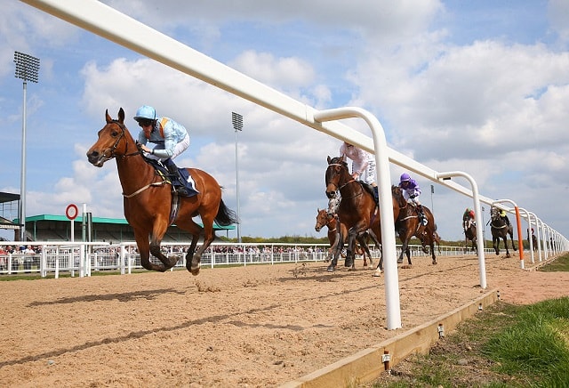 Friday's Horse Racing Market Movers