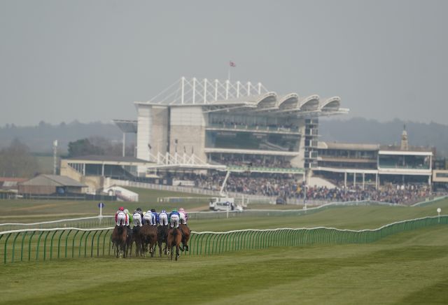 Friday's Horse Racing Market Movers