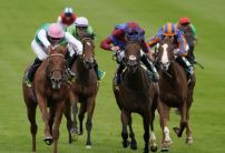 The most backed horses at Newmarket Future Champions Day