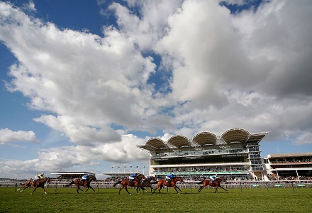 Thursday's Horse Racing Market Movers