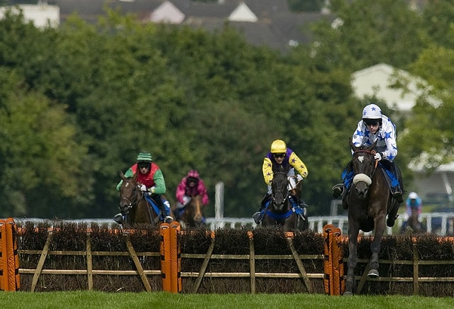 Can you name the 20 most popular horses on Oddschecker in 2016?
