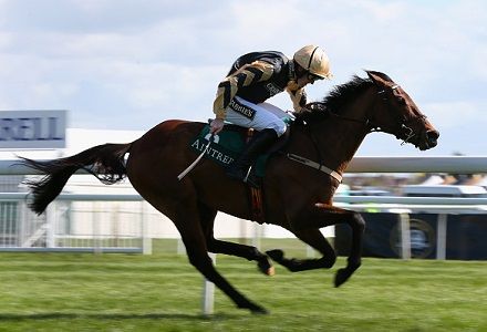 Canyon pounces late to land Stayers' Hurdle