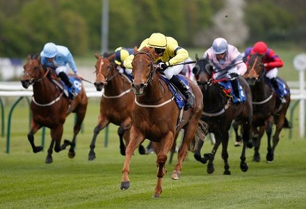 Sunday's Horse Racing Market Movers