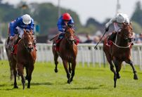 Ante Post Derby Betting: Who have Oddschecker punters been backing?