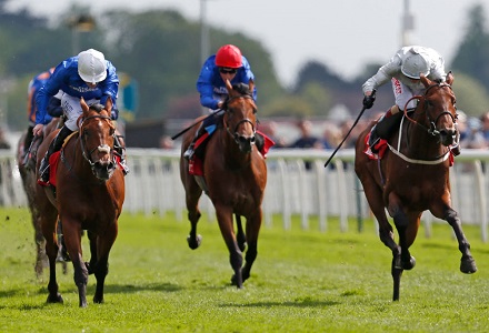 Ante Post Derby Betting: Who have Oddschecker punters been backing?