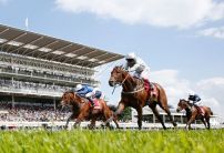 Cracksman new favourite for Derby despite missing Dante