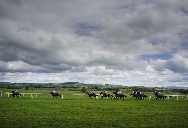 The three most backed horses at Punchestown today
