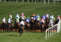 The three most backed horses at Punchestown today