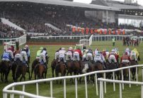 The three most backed horses at Punchestown today
