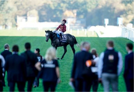 Roaring Lion's odds crash for one last hurrah at the Breeders Cup before retirement