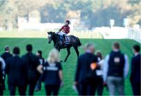 Roaring Lion's odds crash for one last hurrah at the Breeders Cup before retirement