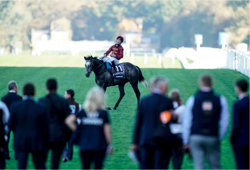 Roaring Lion's odds crash for one last hurrah at the Breeders Cup before retirement