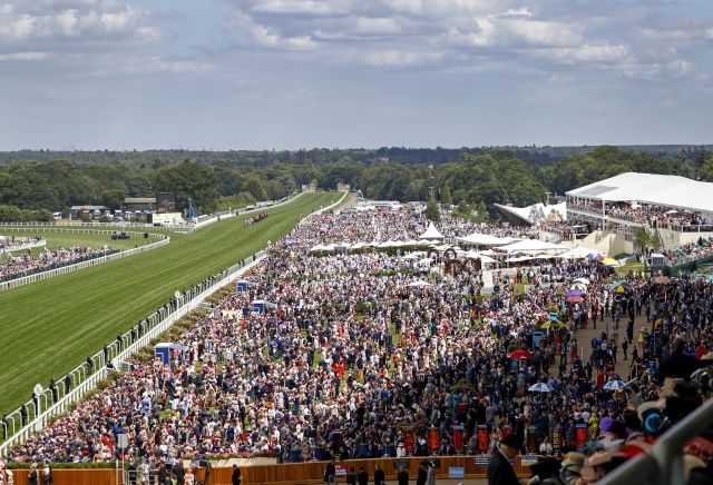 The most backed horses on Royal Ascot Day Five