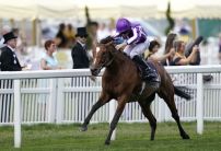 When will racing return? Odds on May resumption shorten