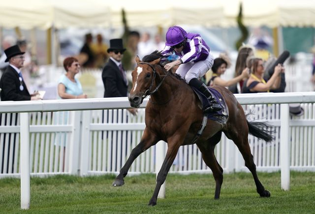 Punters side with Japan for Juddmonte International at Ebor Festival