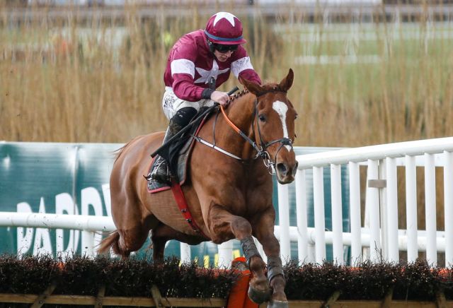 Punters pile on Sharjah to topple Samcro at Down Royal 
