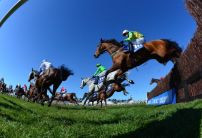 20/1 Irish raider most backed for Scottish Grand National