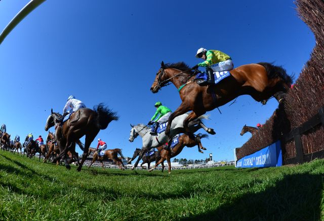 20/1 Irish raider most backed for Scottish Grand National