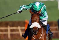 Five Horses to watch this weekend