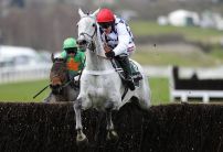 Five Horses for the Weekend from Oddschecker