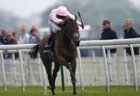 Saturday's Horse Racing Market Movers