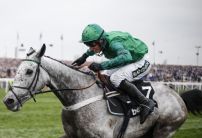 Wednesday's Horse Racing Market Movers