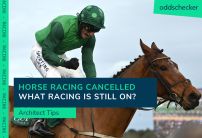 Horse racing cancelled: What racing is still on this weekend?
