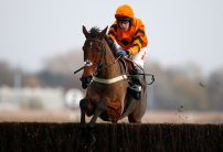 Which National Hunt stars shone over the holiday period?