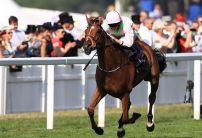 Thomas Hobson cut for Melbourne Cup success by 15 bookies
