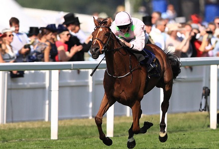 Thomas Hobson cut for Melbourne Cup success by 15 bookies