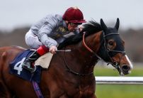 Toast Of New York backed to land richest race in the world