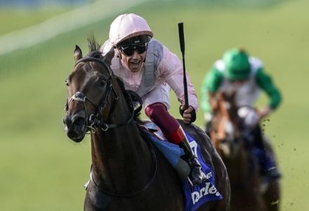 Punters despair: Former favourite withdrawn from 2000 Guineas
