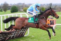 Punters keen on Un De Sceaux in Tingle Creek Chase