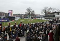 Sundays Horse Racing Market Movers
