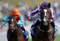 Tuesday's Horse Racing Market Movers