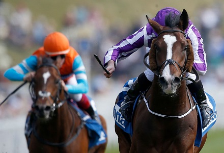 Monday Horse Racing Market Movers