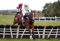 Five Horses for the Weekend from Oddschecker