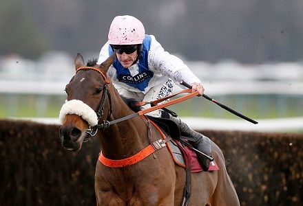 The five most backed horses on the nine race Ascot card