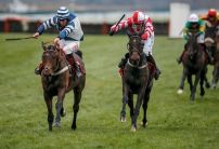 King George betting: Whisper in with a shout according to Oddschecker punters