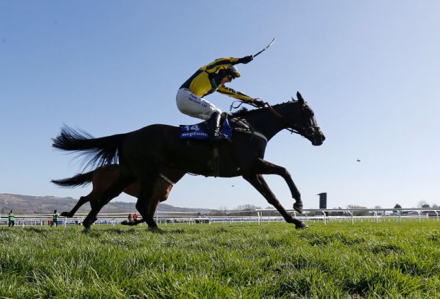 Willoughby Court shortened for RSA Chase glory after beating Yanworth at Newbury