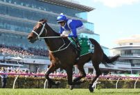 If you rolled over a £25 stake on Winx's last 32 races, you'd be a multi-millionaire