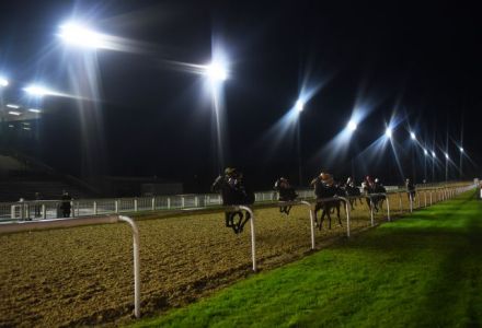 Friday's Horse Racing Market Movers
