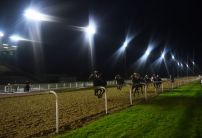 Friday's Horse Racing Market Movers