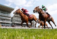 York Ebor Festival: Day One Stats and Trends